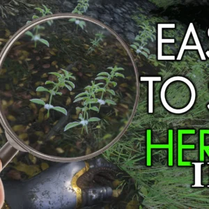Easy To See Herbs II