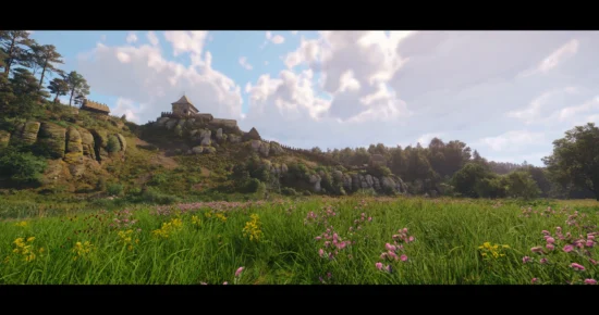 FW Cinelook (Cinematic ReShade) castle