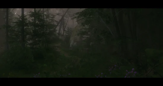 FW Cinelook (Cinematic ReShade) forest