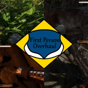 First Person Overhaul mod