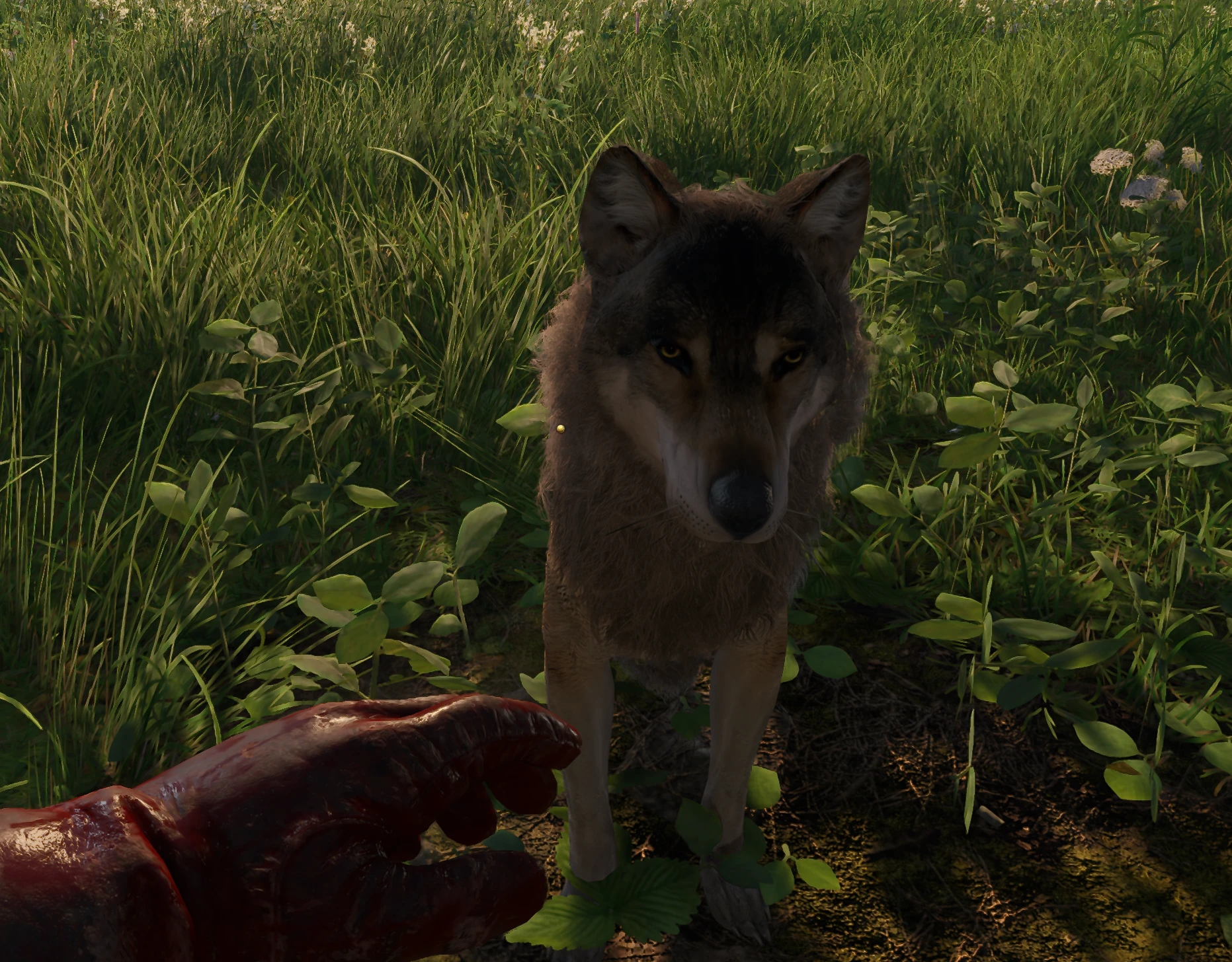 Harmless Dogs & Wolves mod