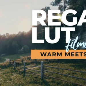 Regal LUT Colors mod
