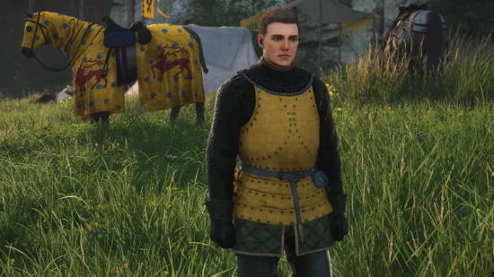 Retexture Mod for Henry 2