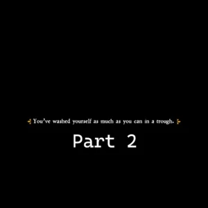 Trough Washing Deluxe 2