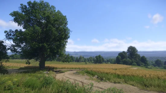 Ultimate Photorealistic Medieval reshade landscape off