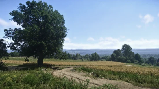 Ultimate Photorealistic Medieval reshade landscape on