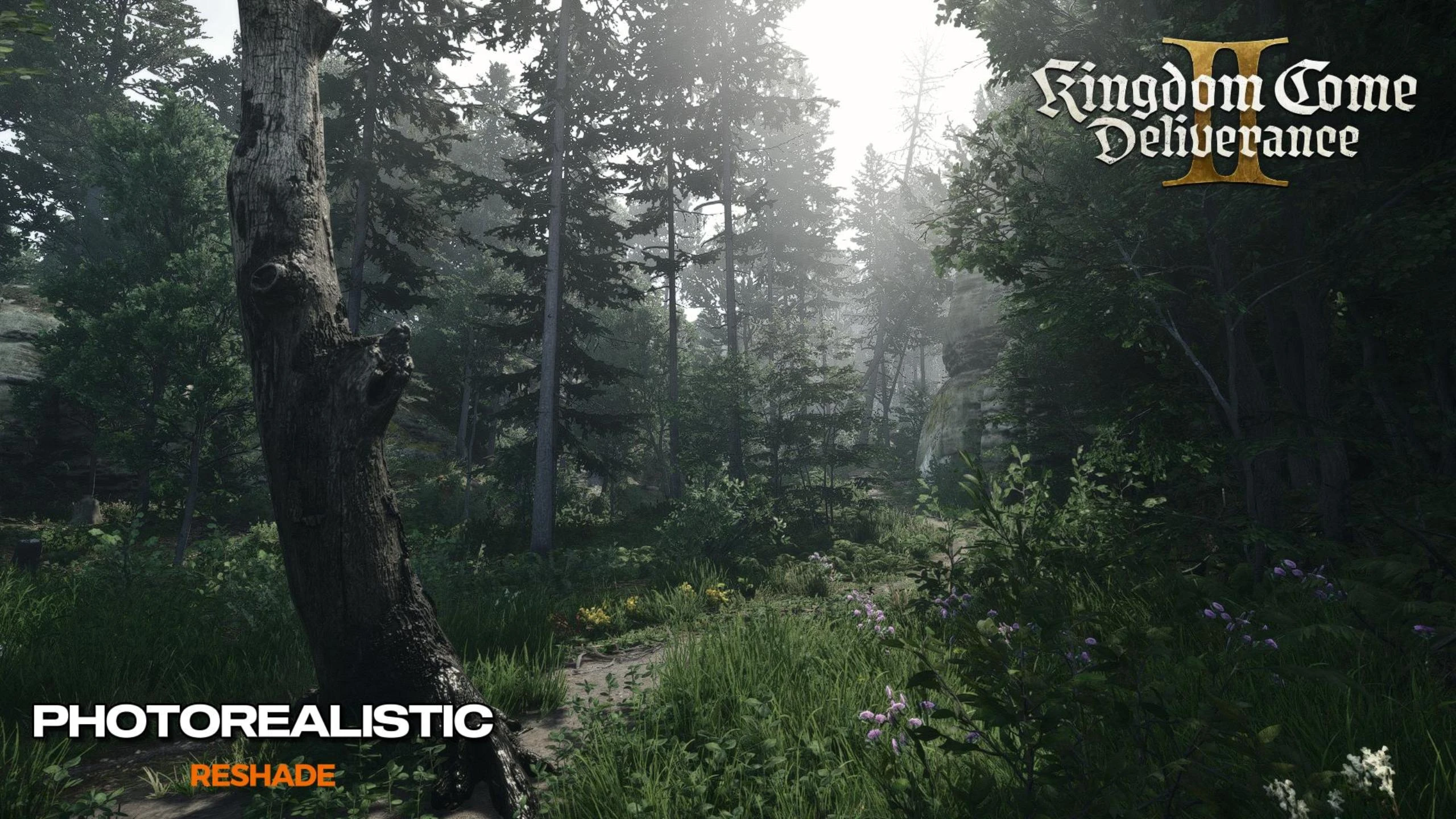 XTG Ultimate Photorealistic Medieval Reshade Preset for kcd2